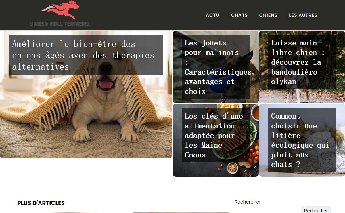 ukusabullterriers.com - Ukusa bull terriers