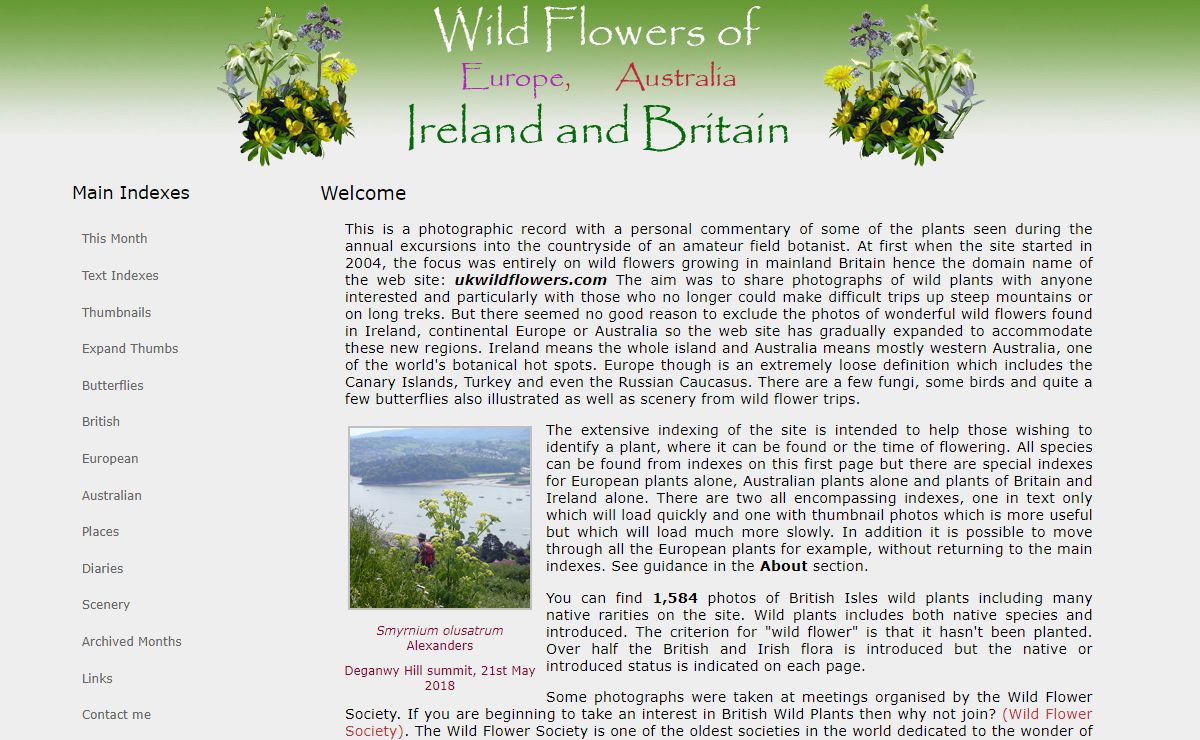 Index to ukwildflowers 2023