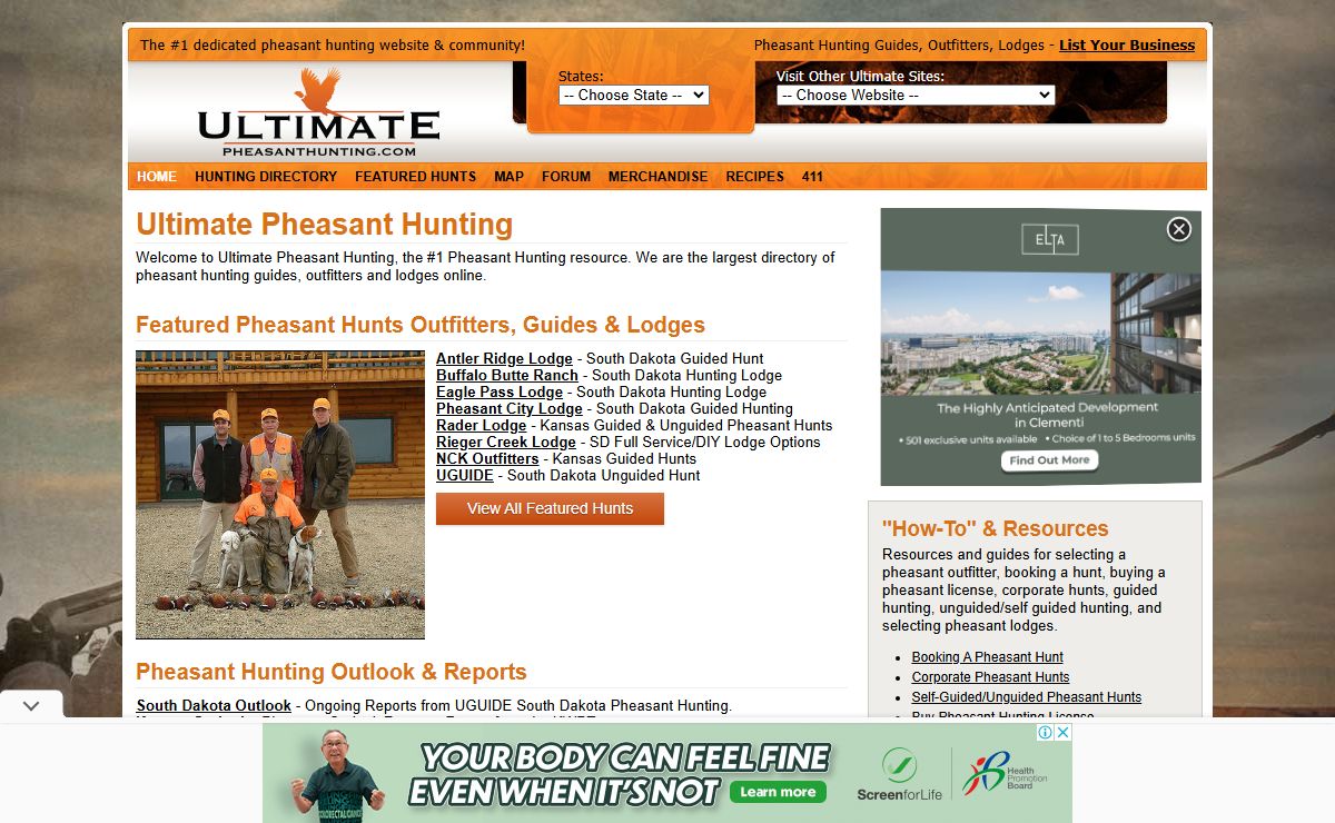Ultimate Pheasant Hunting - The #1 Pheasant Hunting Website