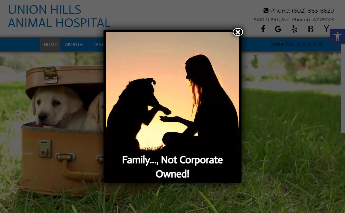 Veterinarian in Phoenix, AZ | Union Hills Animal Hospital