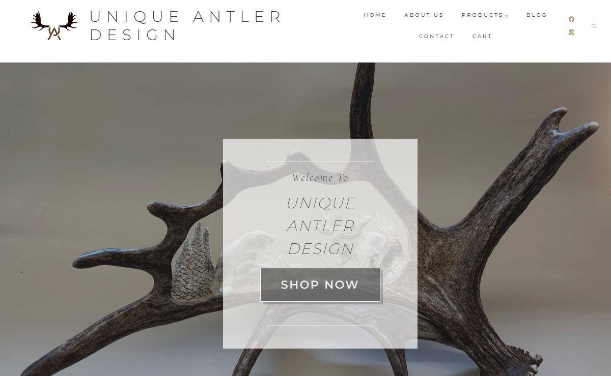Unique Antler Design
