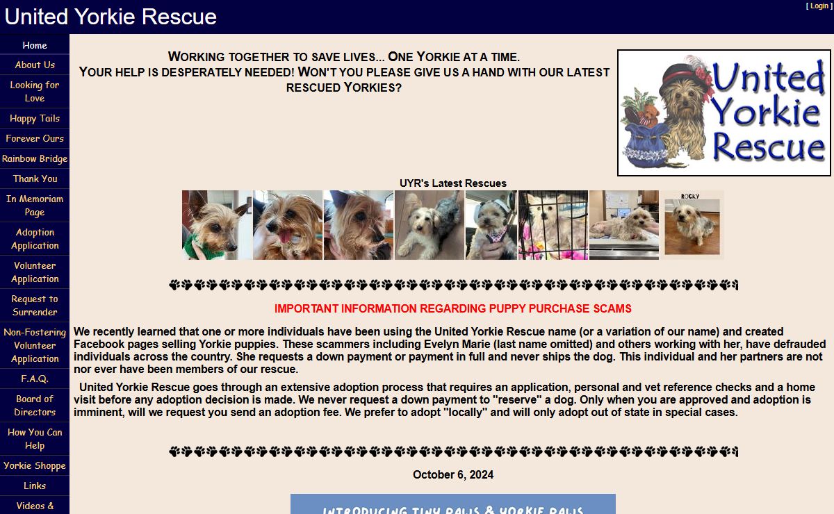 United Yorkie Rescue - A 501(c)(3) Non-Profit Yorkshire Terrier Rescue Organization