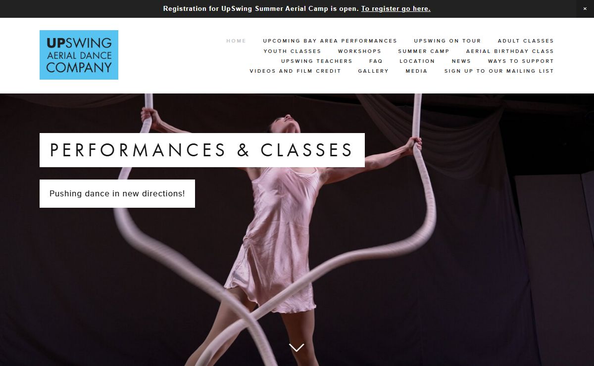 UpSwing Aerial Dance Company