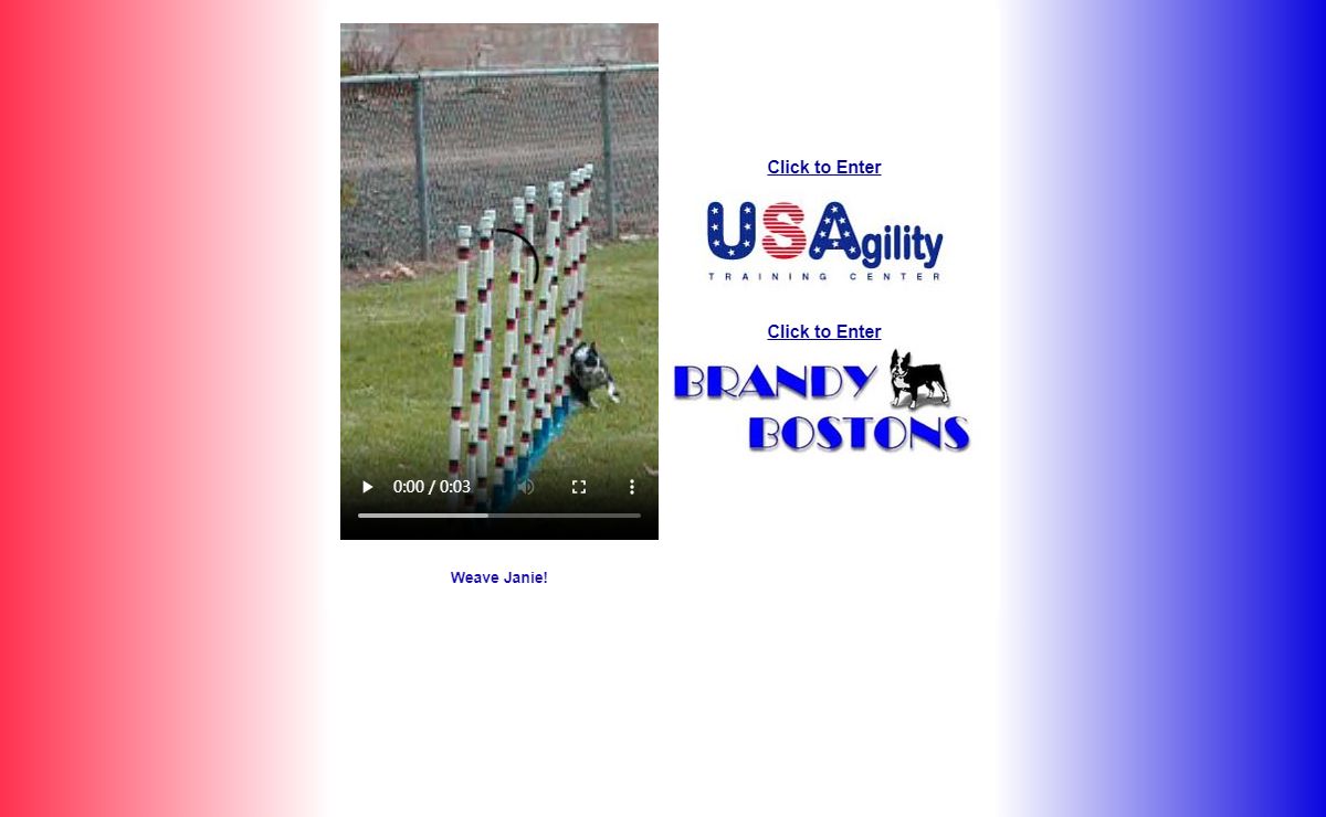 USA Agility Training Center & Brandy Boston Intro