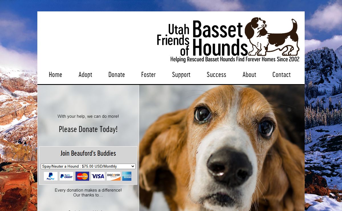 Utah Friends of Basset Hounds | Helping rescued bassets find forever homes since 2002.