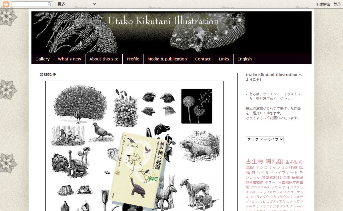 Utako Kikutani Illustration