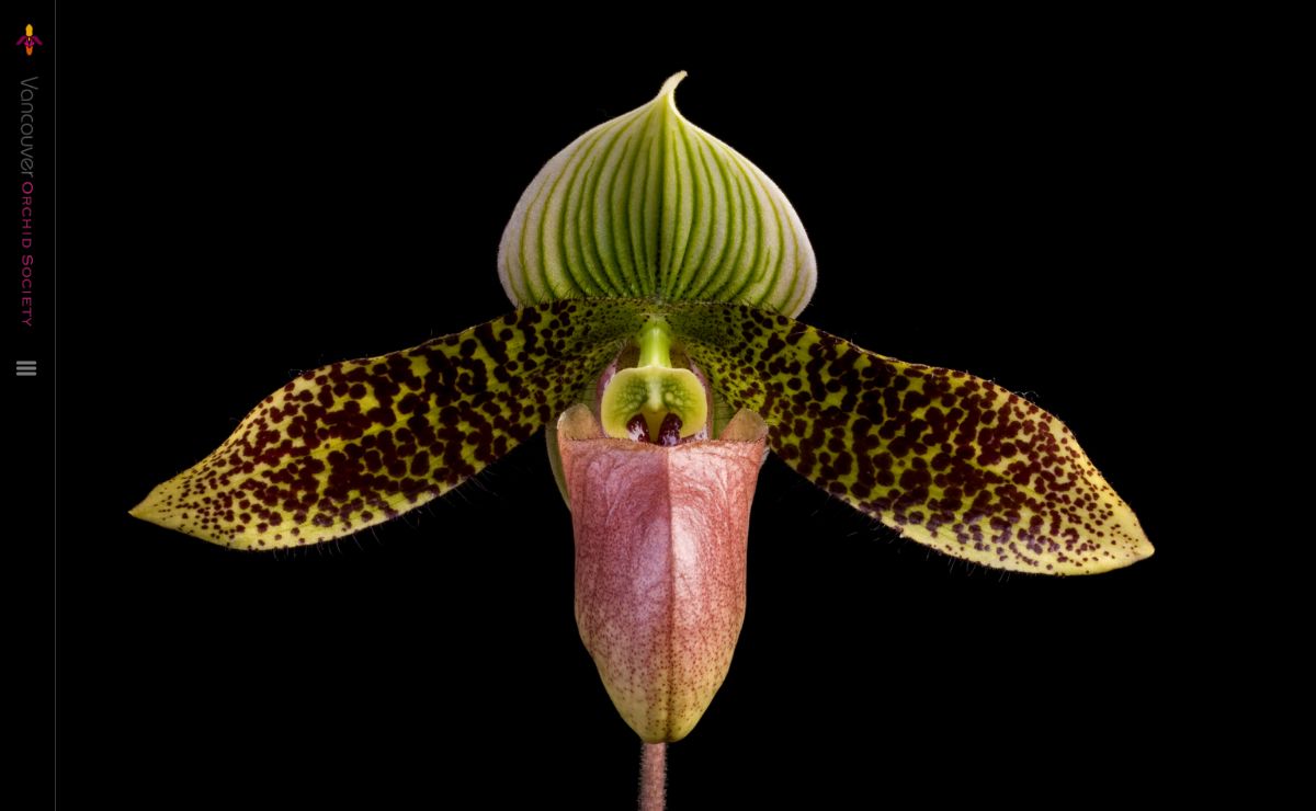 vancouver orchid society