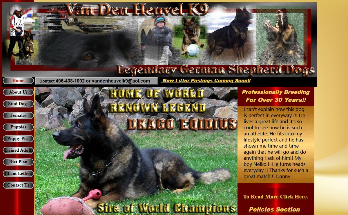 German Shepherd Dogs Van Den Heuvel k9 406-438-1092