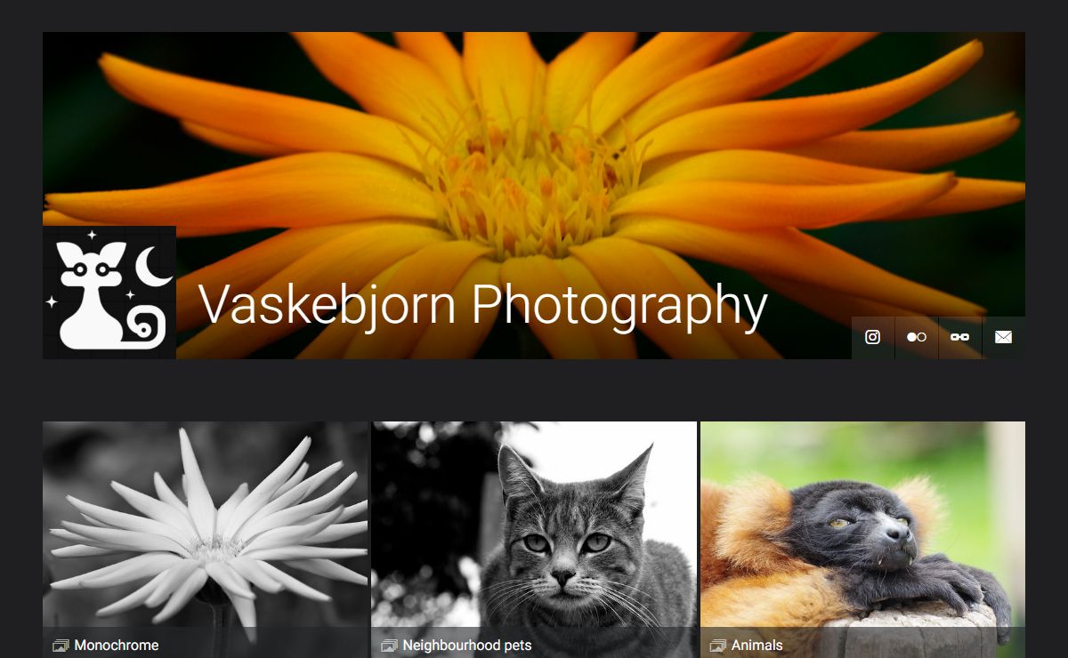 Vaskebjorn Photography
