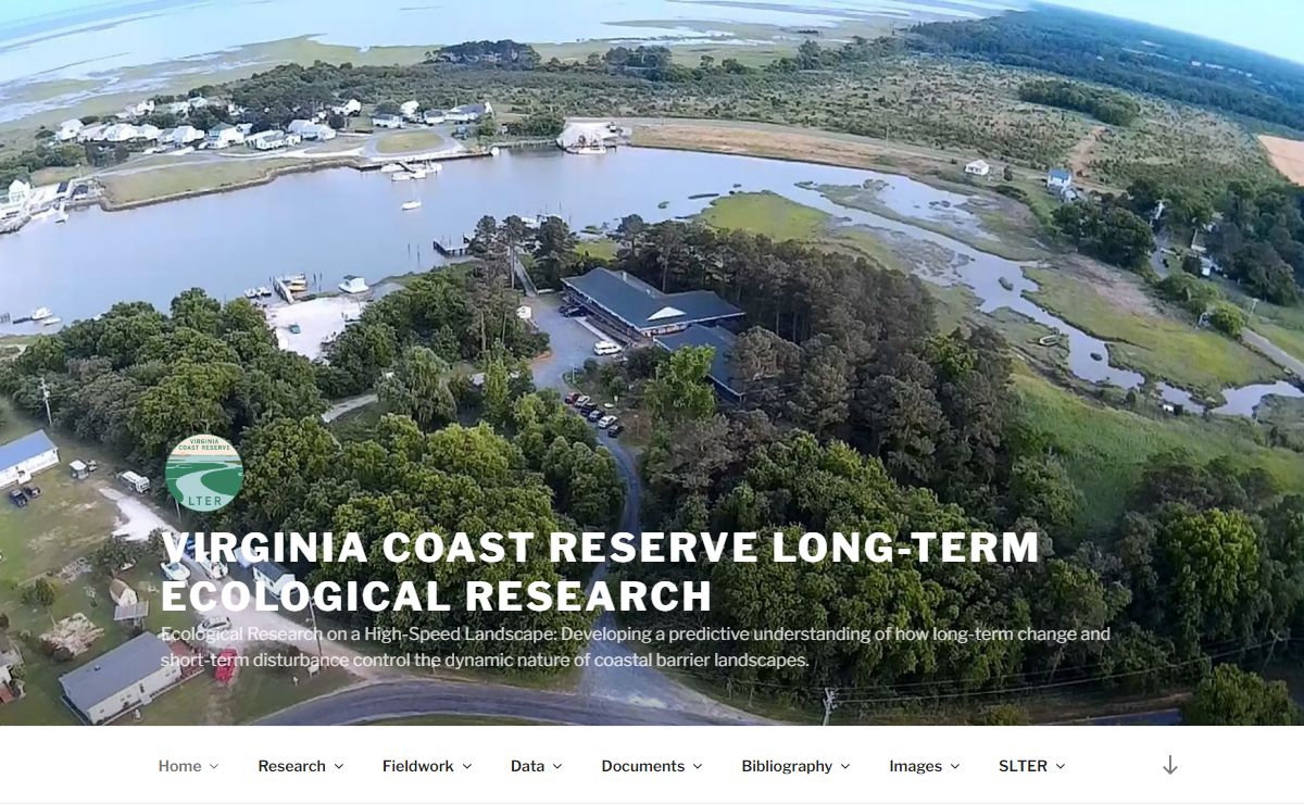 Virginia Coast Reserve Long-Term Ecological Research – Ecological Research on a High-Speed Landscape: Developing a predictive understanding of how long-term change and short-term disturbance control the dynamic nature of coastal barrier landscapes.