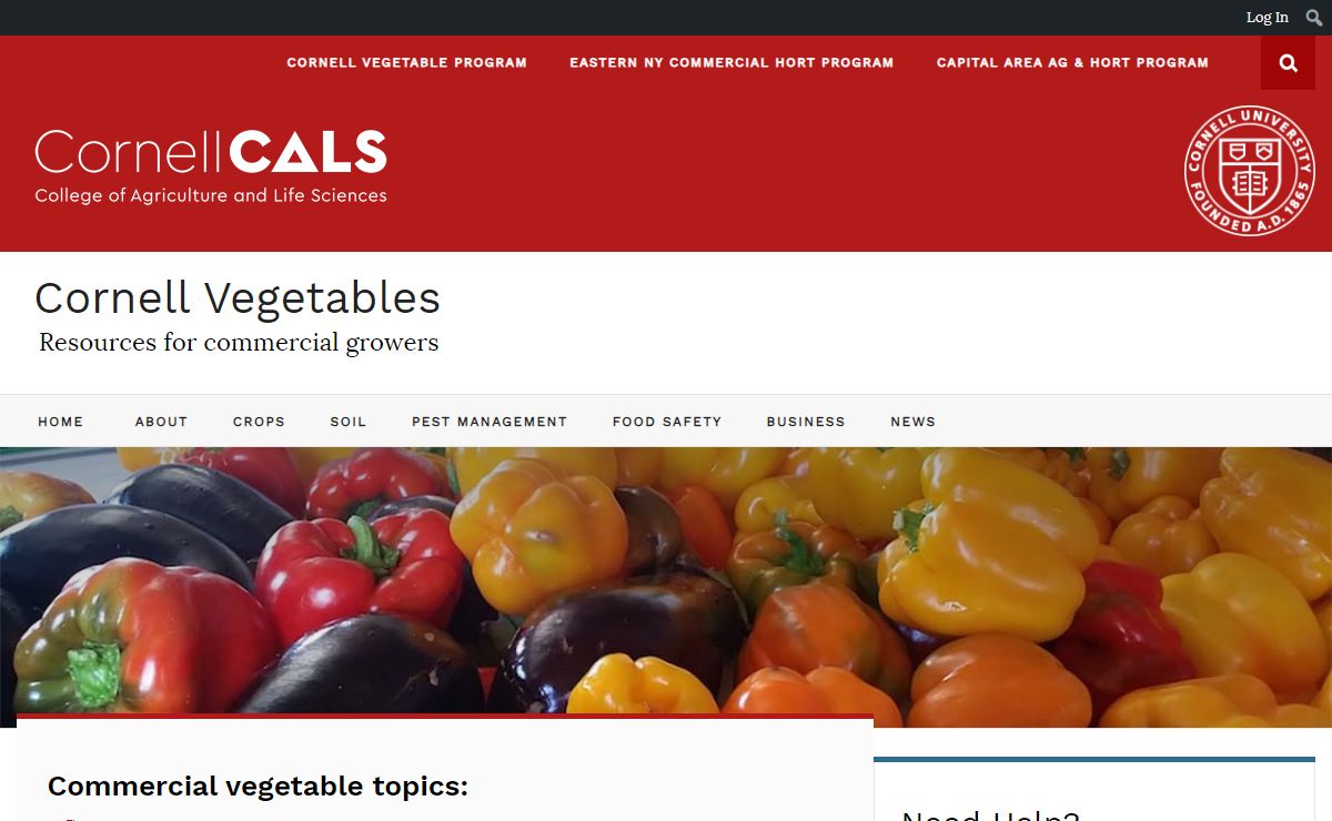 Cornell Vegetables | Resources for commercial growers