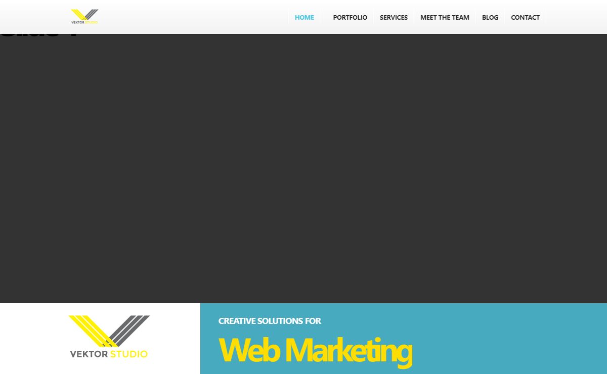Vektor Studio | Web Marketing Strategies