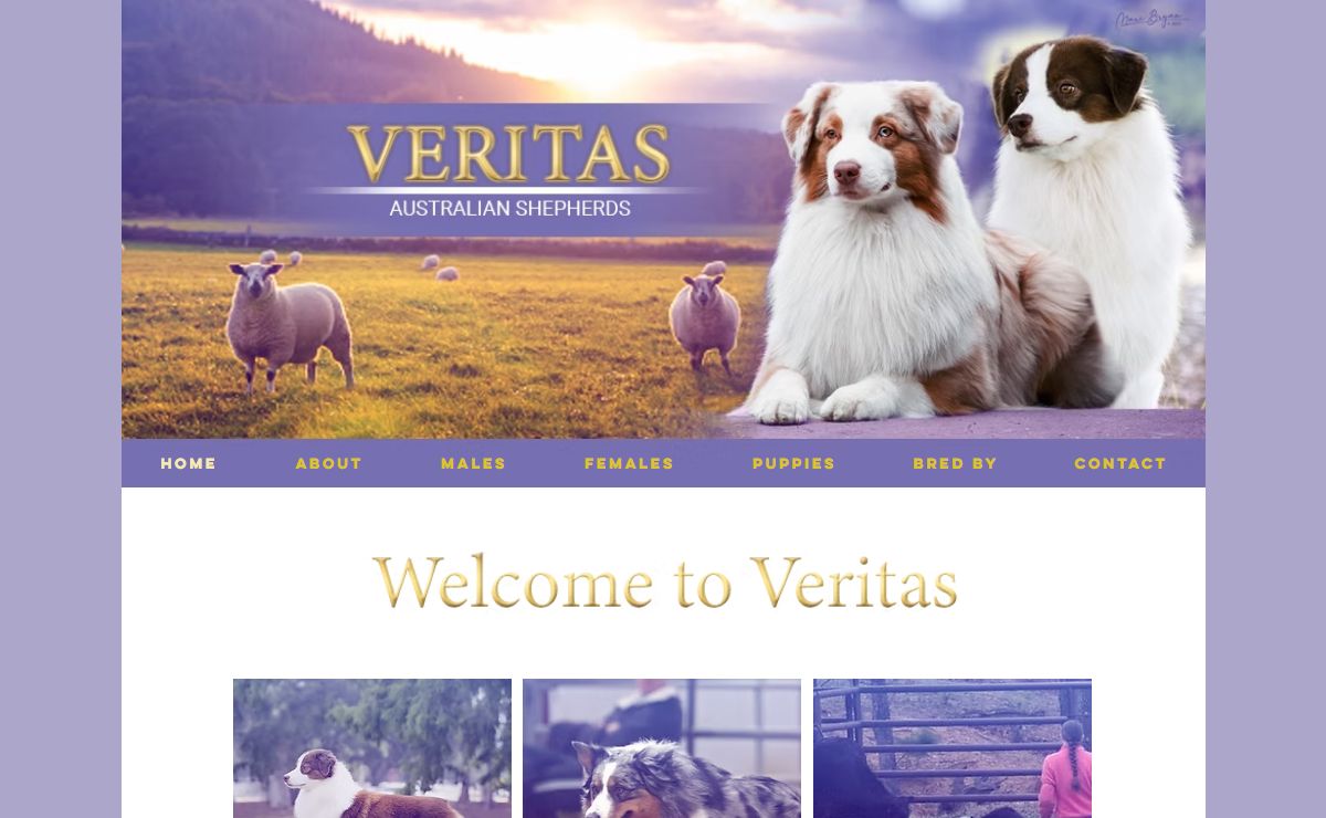HOME | veritas