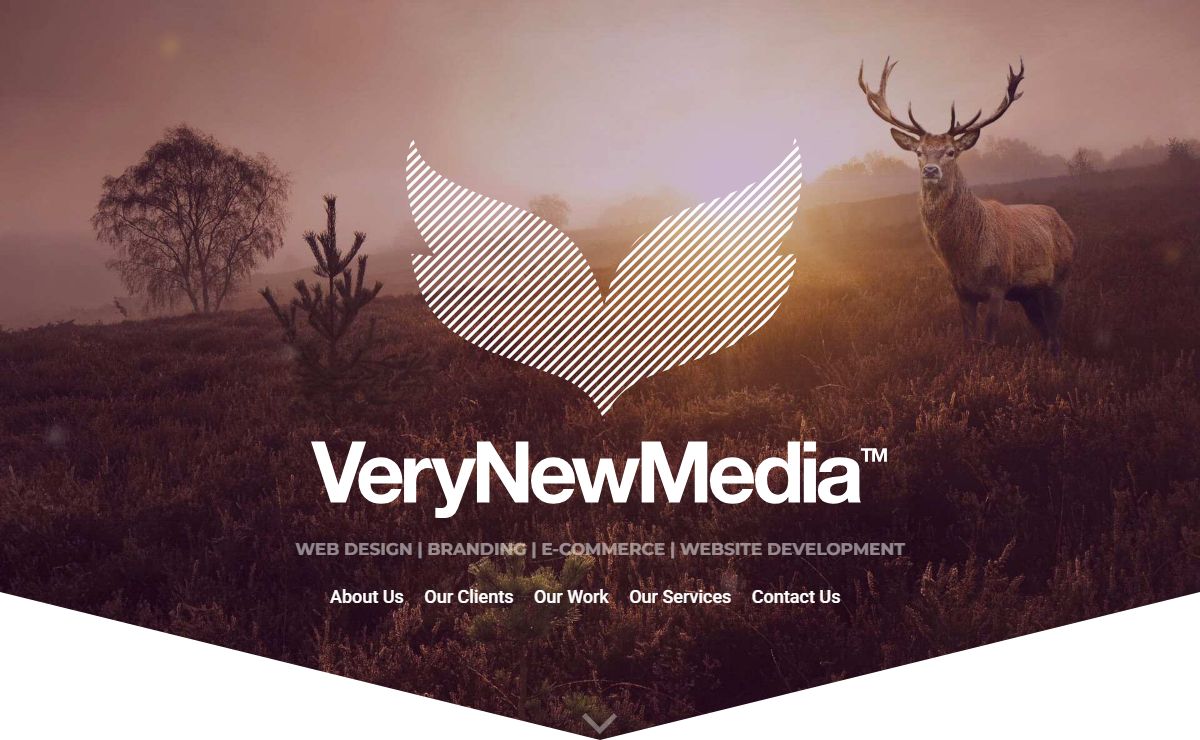 Very New Media™ //_ Web Design, Digital New Media & e-Commerce