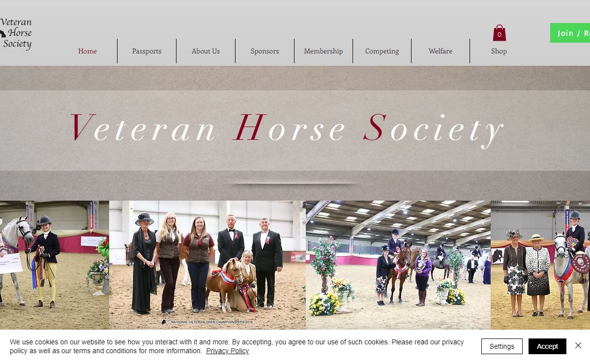 Veteran Horse Society | Veteran Horse Showing | United Kingdom