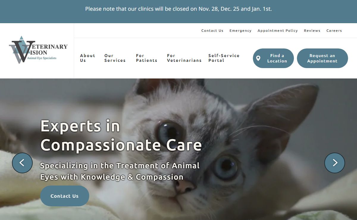 Veterinarian in San Francisco and San Carlos, California | Veterinary Vision Animal Eye Specialists