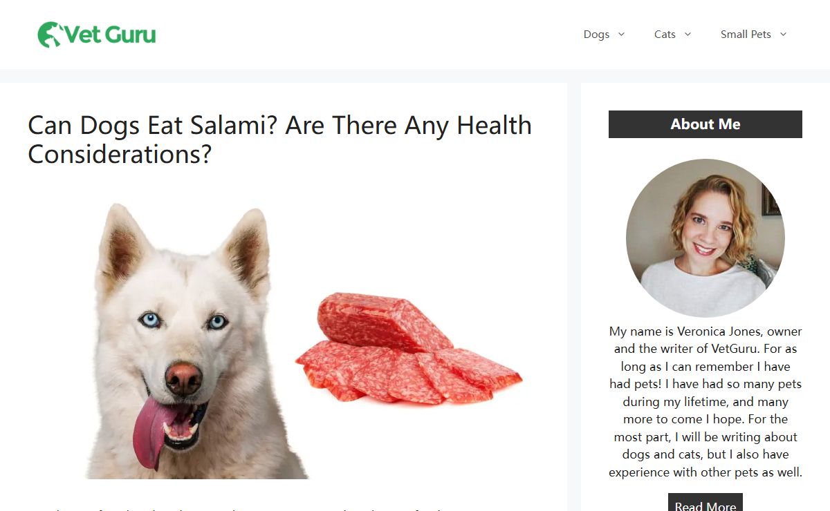 Blog - Vet Guru
