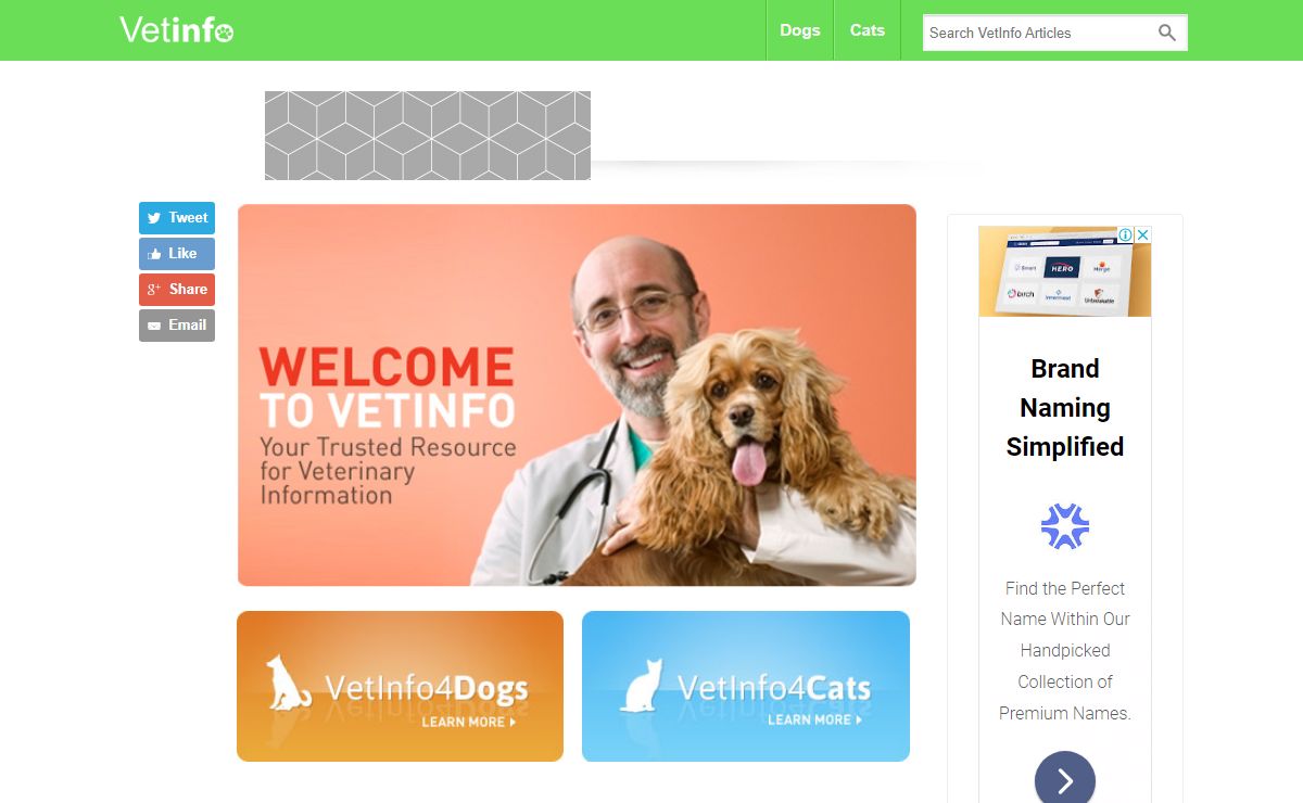 Veterinary Medical Information for Dogs and Cats - Vetinfo.com
