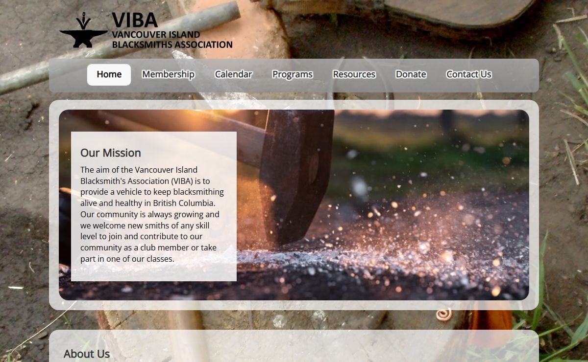 Home - VIBA
