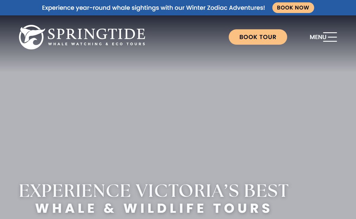 Springtide – Whale & Wildlife Watching Tours in Victoria, BC