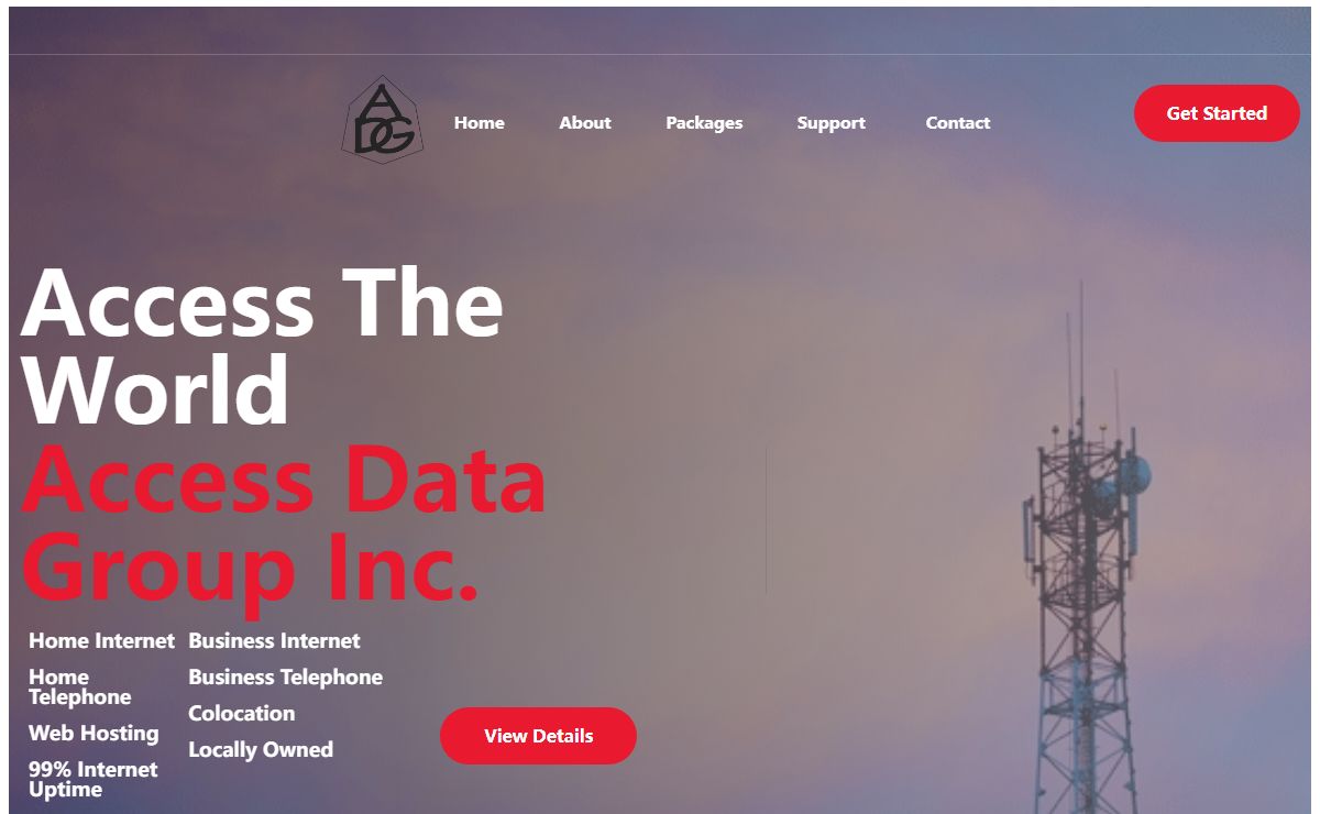 Access Data Group Inc.