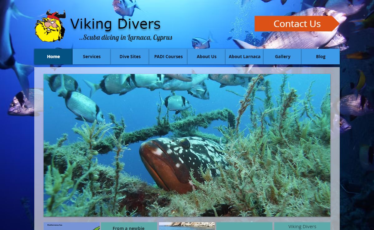 Viking Divers: Your Gateway to Scuba Diving in Larnaca, Cyprus | PADI Couses | Zenobia wreck | Try Diving