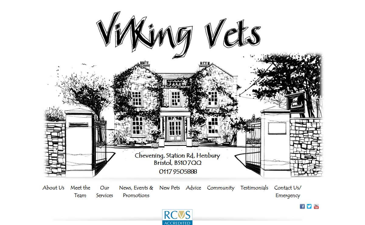 Viking Veterinary Surgeons