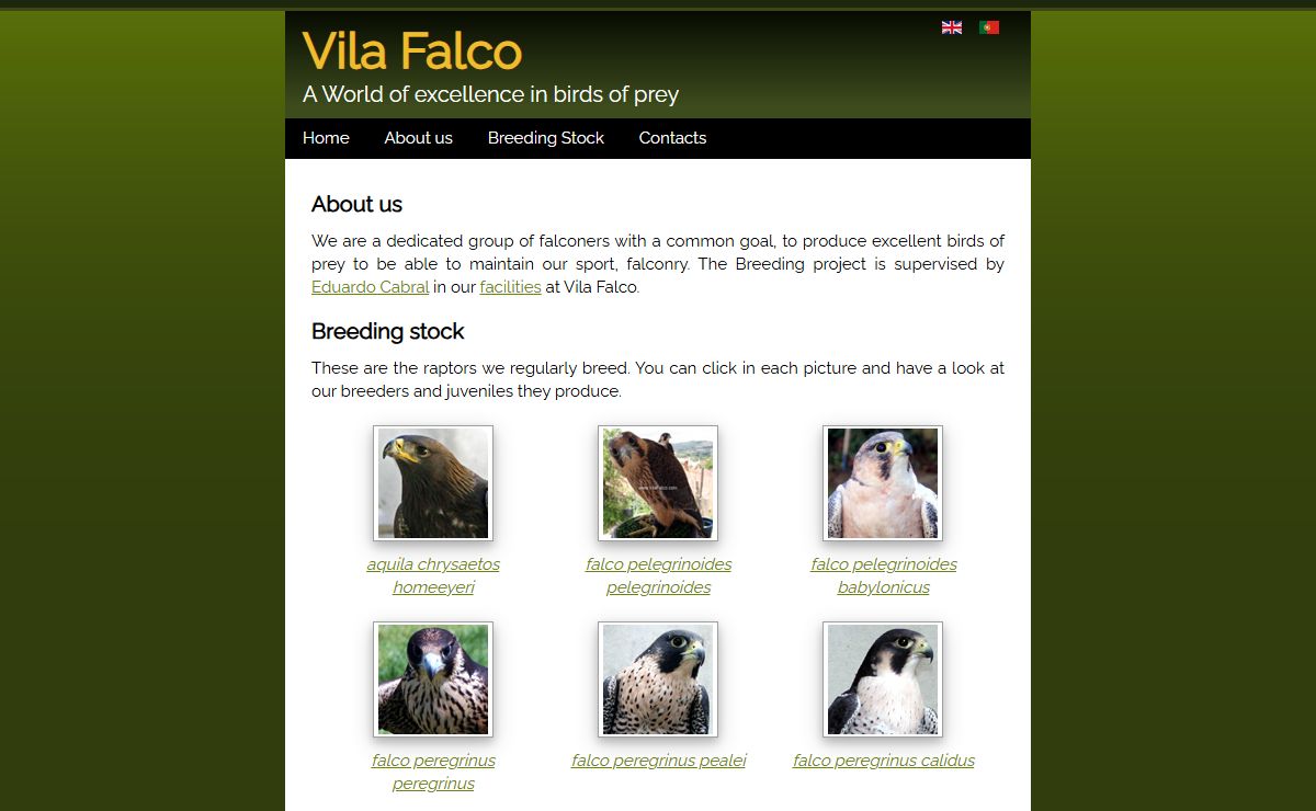 Vila Falco - A world of excellence in birds of prey