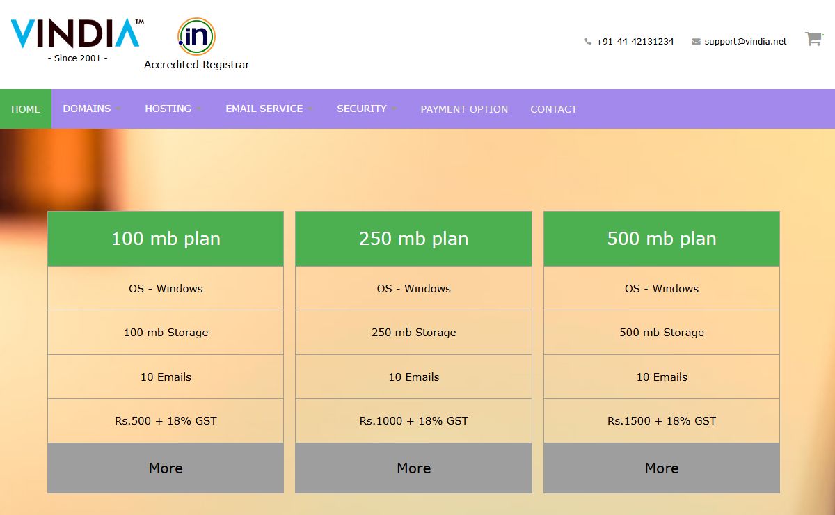 Domain Names, Web Hosting, Email Hosting - V India Technologies Private Limited
