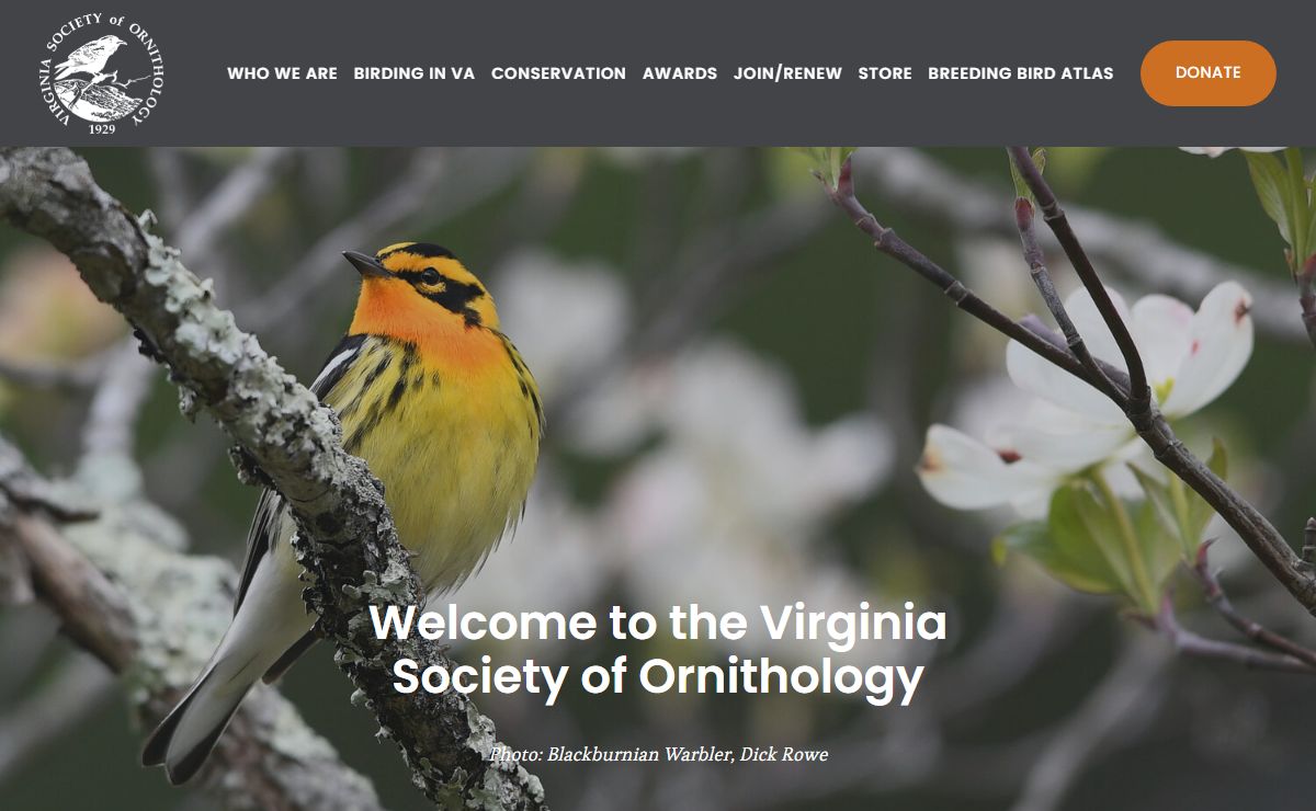 Virginia Society of Ornithology
