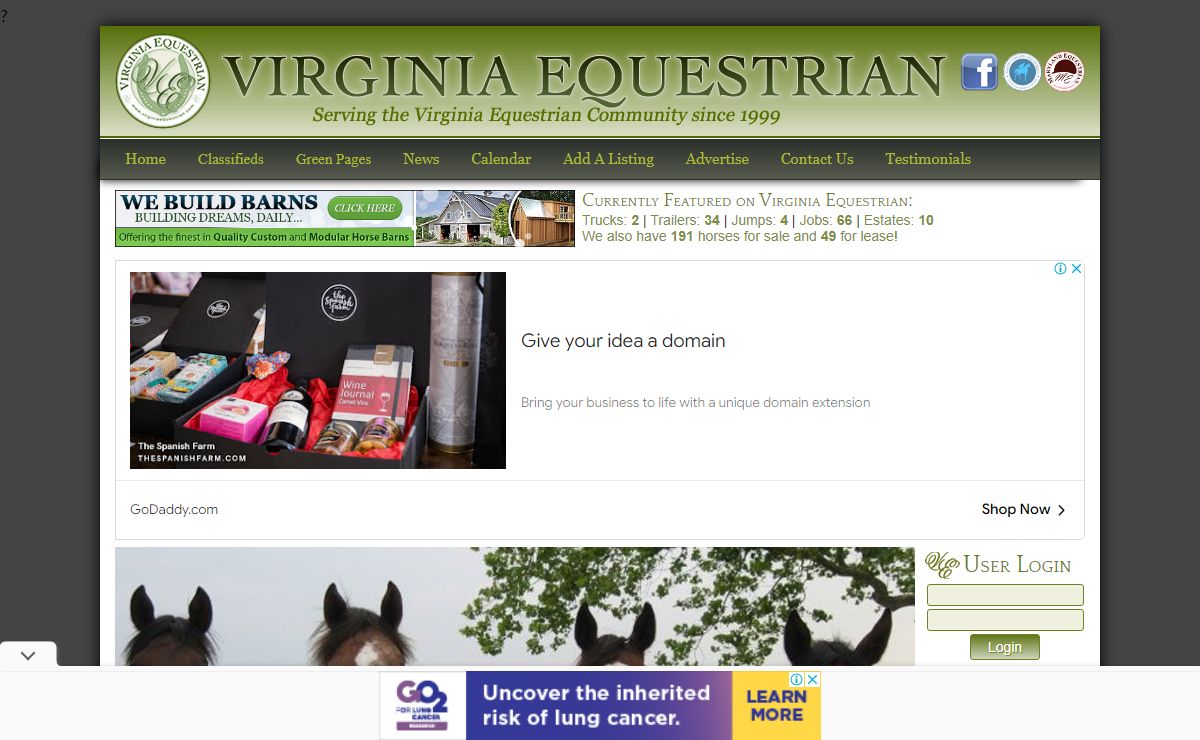 Virginia Equestrian.com