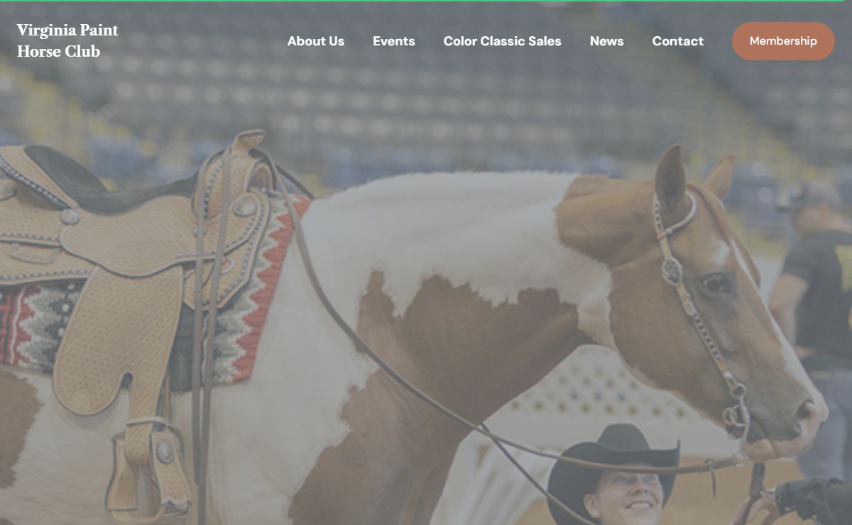 Home - Virginia Paint Horse Club
