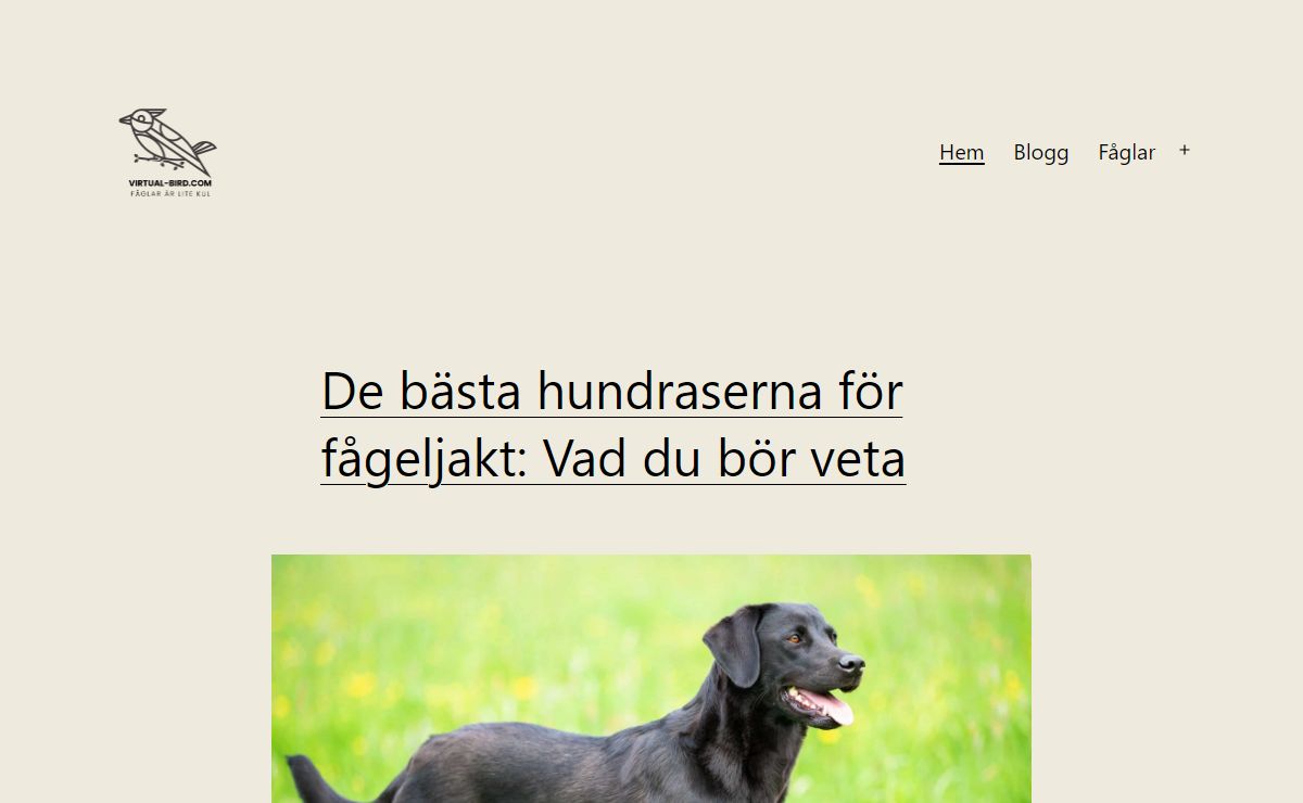 Fågelskådning - Sveriges största sida om fågelskådning - Välkommen till Virtual Bird - här samlar vi info om massa olika fågelarter och info om dom.