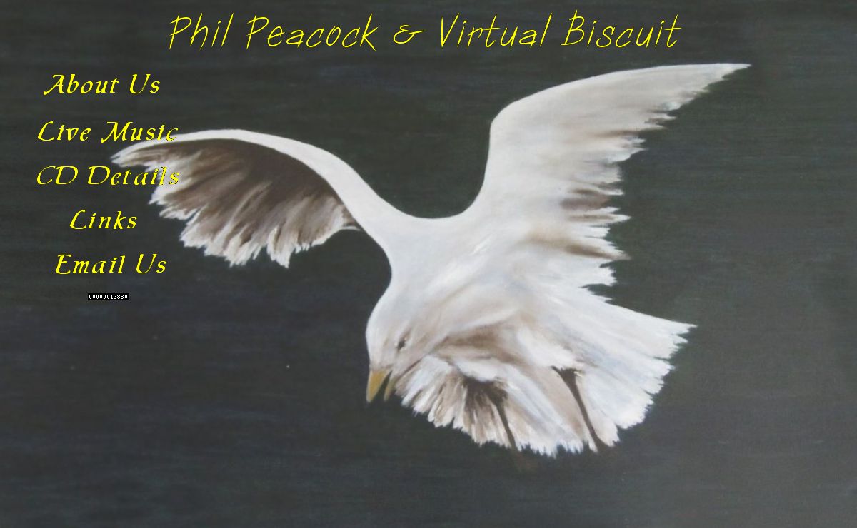 Welcome to virtualbiscuit.co.uk