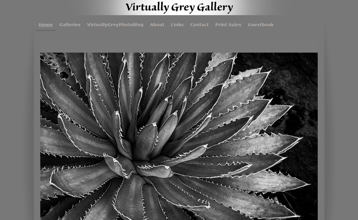 Black & White Photography - Steve Gledhill's Virtually Grey Gallery