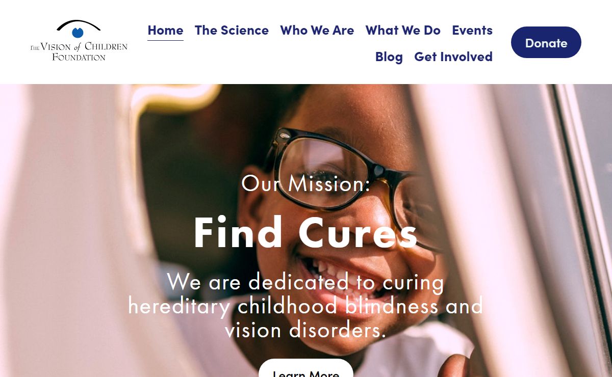 The Vision of Children Foundation