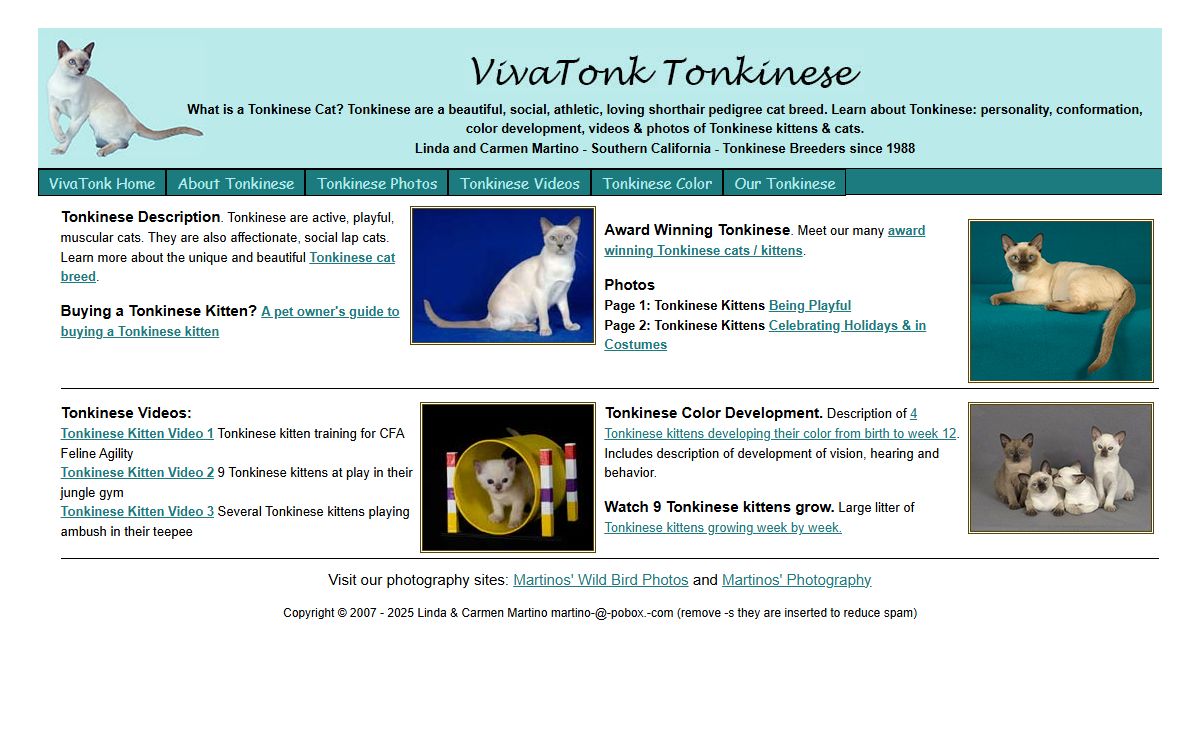 Vivatonk Tonkinese since 1988: beautiful, social, athletic, affectionate.