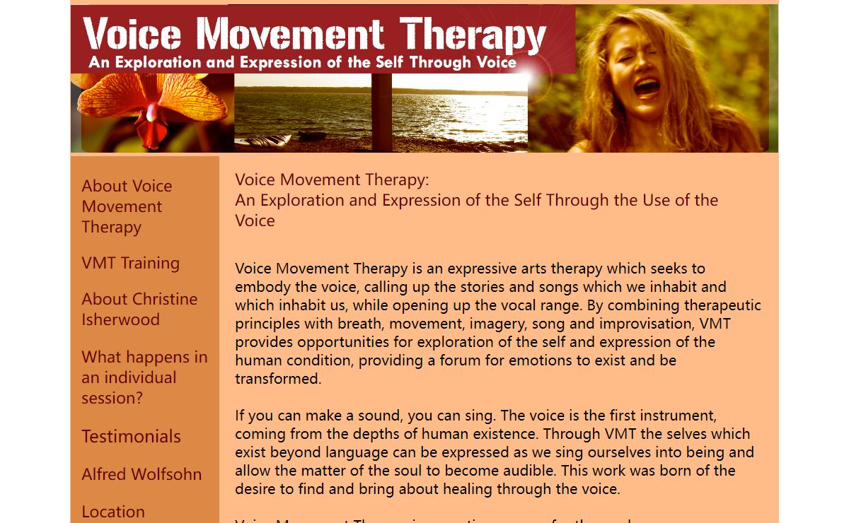 About Voice Movement Therapy