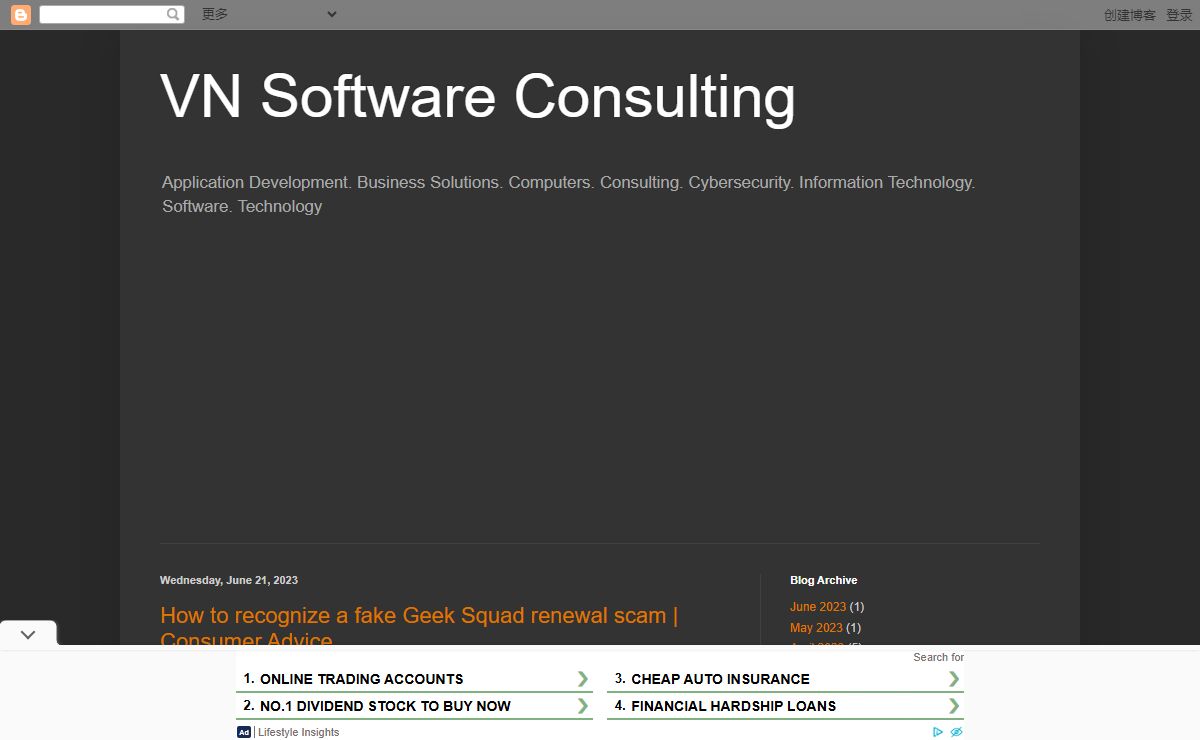 VN Software Consulting