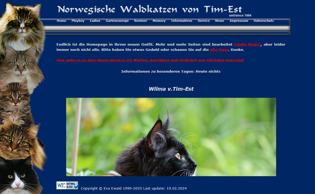 "Norwegische Waldkatzen v.Tim-Est - Sterrekatten's Power of Love"