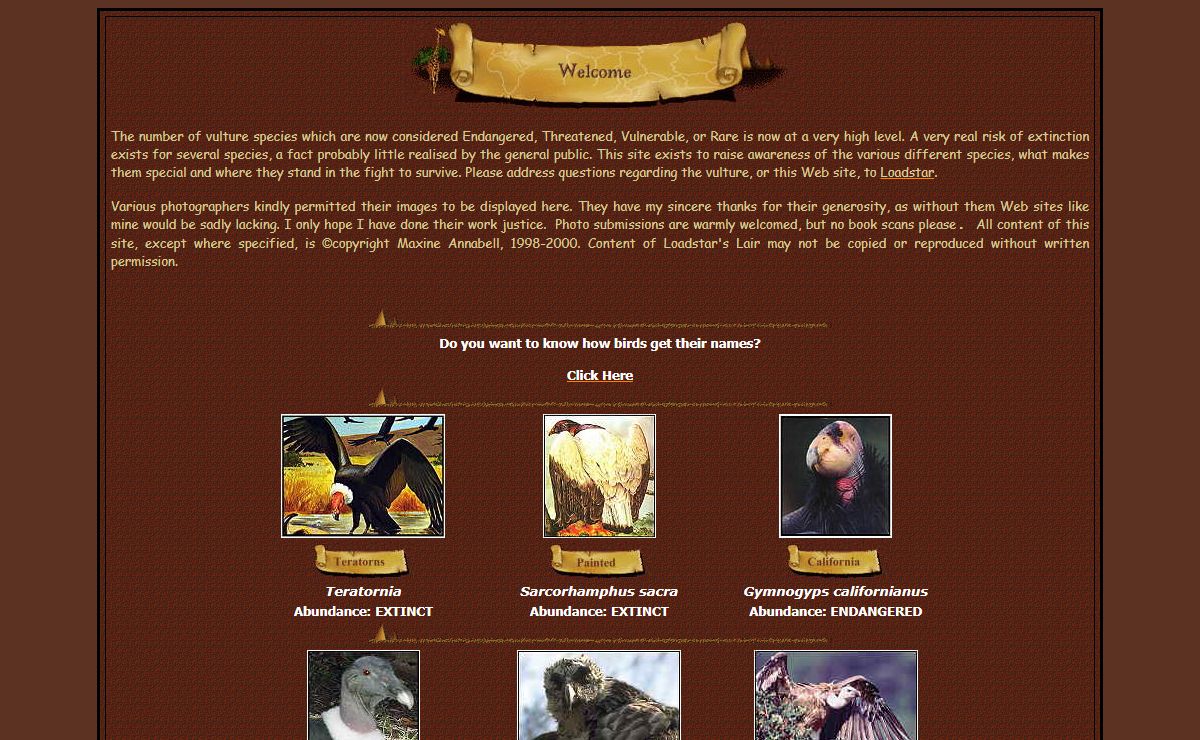 Vultures and Condors