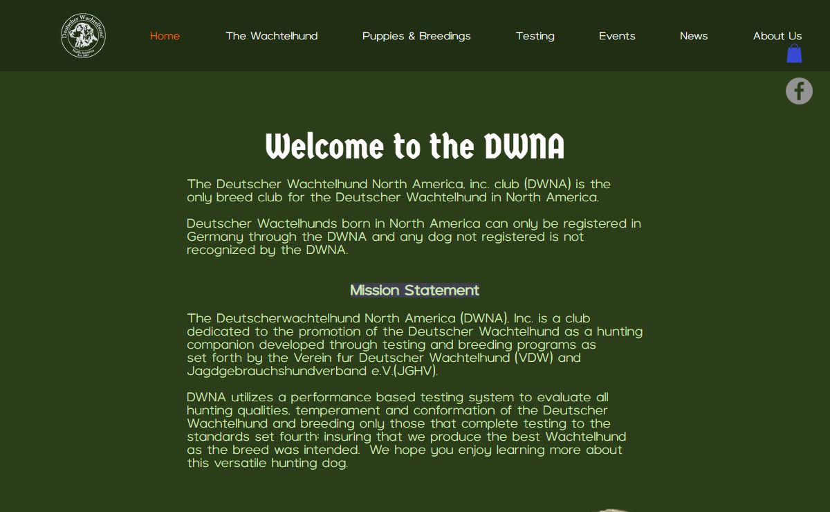 Deutscher Wachtelhund North America Club | DWNA