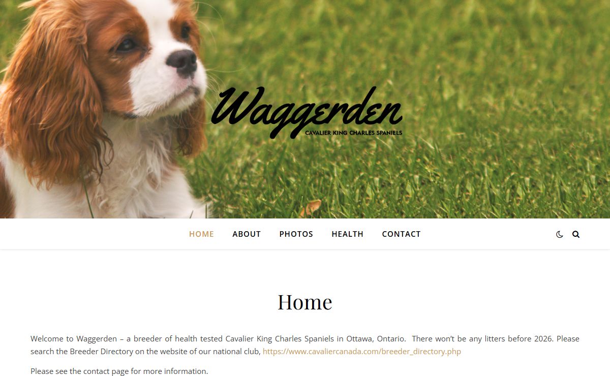 Waggerden Cavalier King Charles Spaniels – Breeder of Cavaliers in Ottawa, Canada.