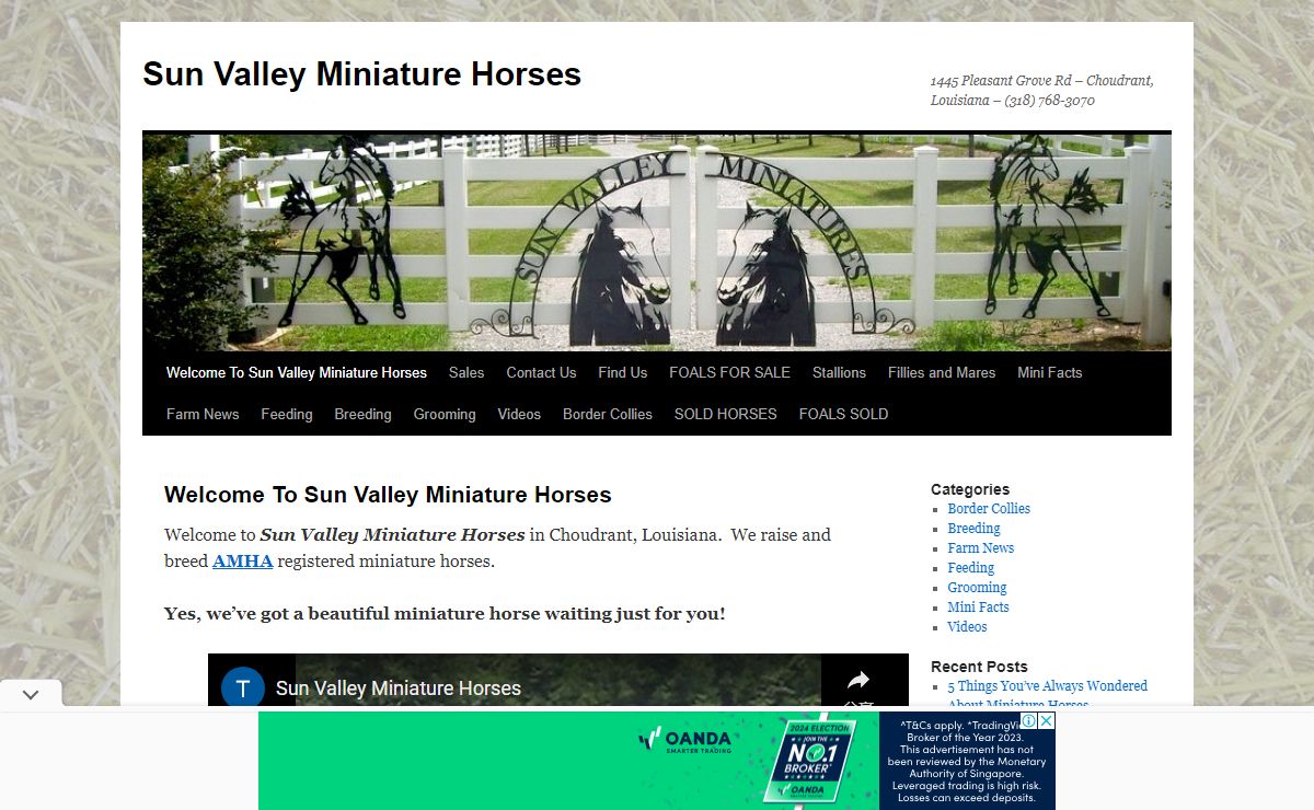 Sun Valley Miniature Horses | 1445 Pleasant Grove Rd – Choudrant, Louisiana – (318) 768-3070