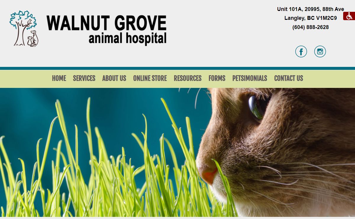 Langley's Premier Veterinary Hospital | Walnut Grove Animal Hospital