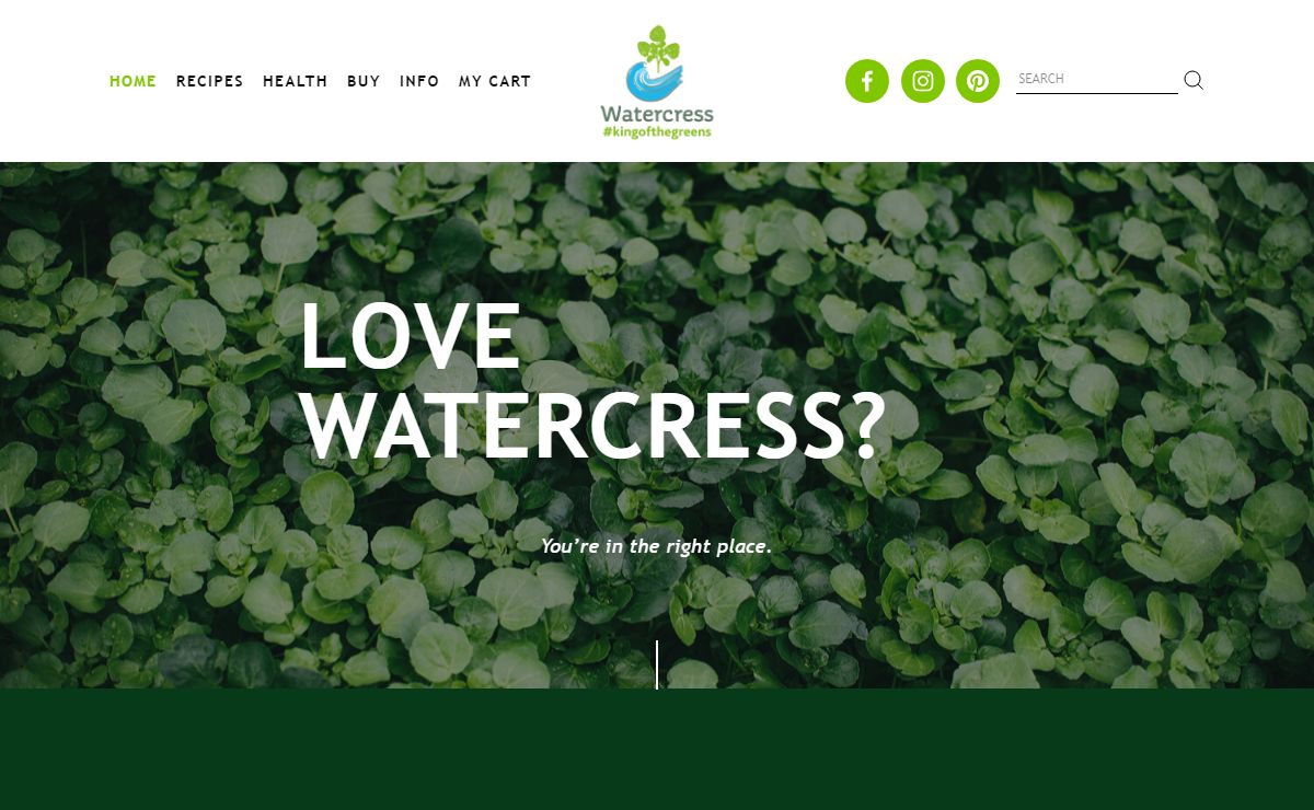 Watercress | Health, Recipes & More