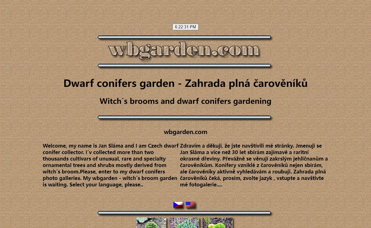 Dwarf conifers - Čarověníky a zakrslé konifery
