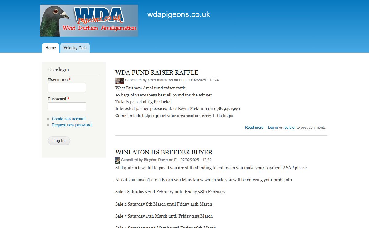 wdapigeons.co.uk