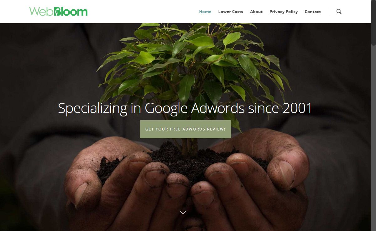 Google Adwords Management since 2001