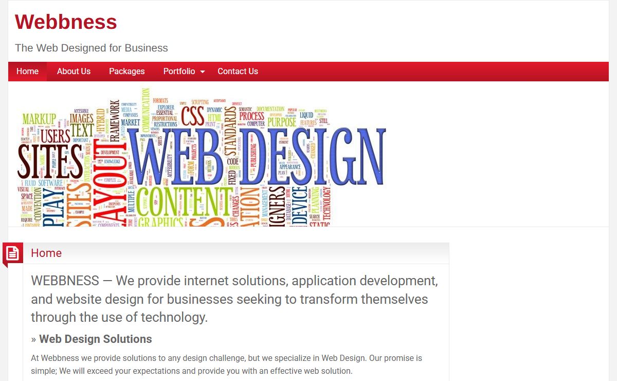 Webbness – The Web Designed for Business